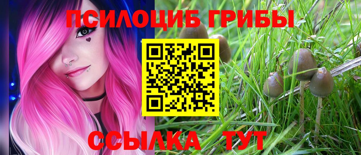 Галлюциногенные грибы Magic Shrooms Краснотурьинск