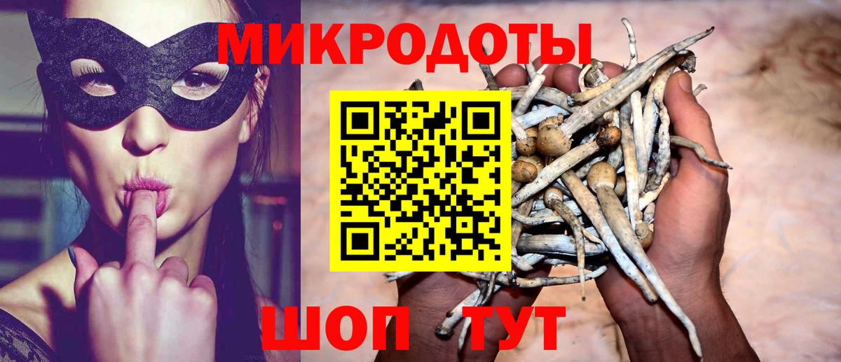 Псилоцибиновые грибы GOLDEN TEACHER  Вход с VPN  Краснотурьинск 